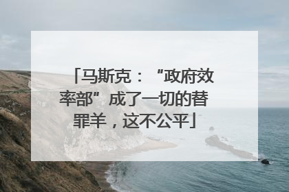 马斯克：“政府效率部”成了一切的替罪羊，这不公平