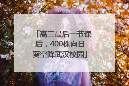 高三最后一节课后，400株向日葵空降武汉校园