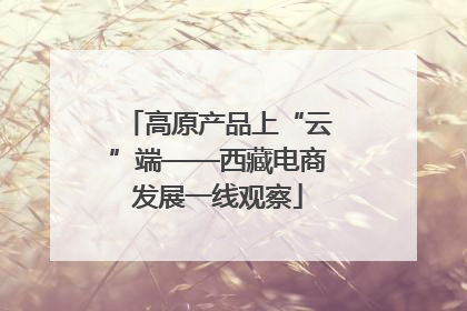 高原产品上“云”端——西藏电商发展一线观察