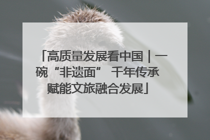 高质量发展看中国｜一碗“非遗面” 千年传承赋能文旅融合发展