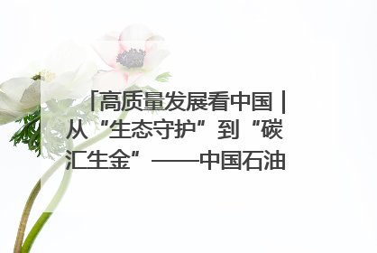 高质量发展看中国｜从“生态守护”到“碳汇生金”——中国石油大庆油田绿色蝶变