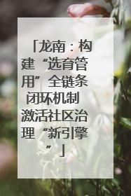 龙南：构建“选育管用”全链条闭环机制 激活社区治理“新引擎”