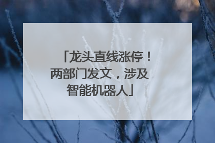 龙头直线涨停！两部门发文，涉及智能机器人