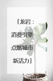 龙岩：消费引擎点燃城市新活力