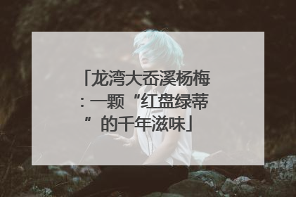 龙湾大岙溪杨梅：一颗“红盘绿蒂”的千年滋味