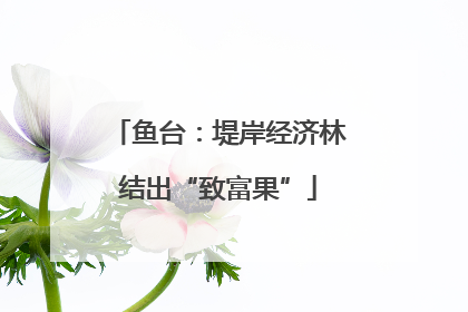 鱼台：堤岸经济林结出“致富果”