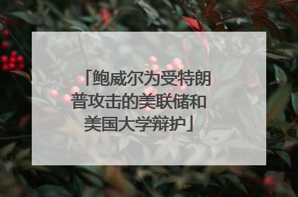 鲍威尔为受特朗普攻击的美联储和美国大学辩护