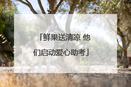 鲜果送清凉 他们启动爱心助考