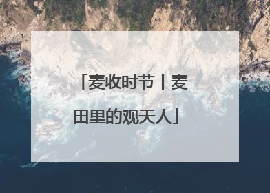 麦收时节丨麦田里的观天人
