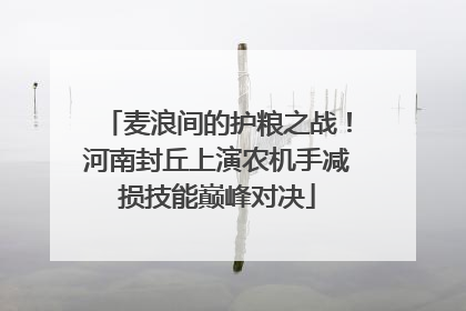 麦浪间的护粮之战！河南封丘上演农机手减损技能巅峰对决