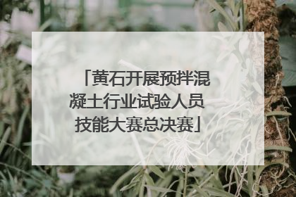 黄石开展预拌混凝土行业试验人员技能大赛总决赛