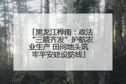 黑龙江桦南：政法“三箭齐发”护航农业生产 田间地头筑牢平安建设防线