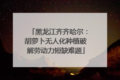 黑龙江齐齐哈尔:胡萝卜无人化种植破解劳动力短缺难题