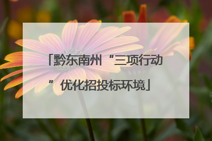 黔东南州“三项行动”优化招投标环境