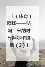 （体育）网球——法网：辛纳对阵阿尔卡拉斯（2）