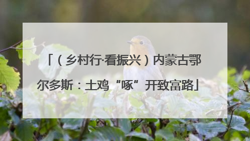 （乡村行·看振兴）内蒙古鄂尔多斯：土鸡“啄”开致富路