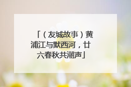 （友城故事）黄浦江与默西河，廿六春秋共潮声