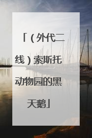 （外代二线）索斯托动物园的黑天鹅