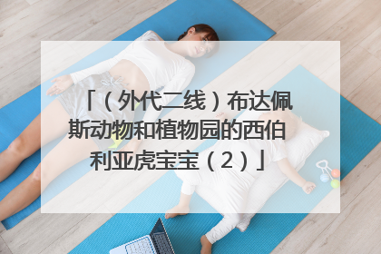 （外代二线）布达佩斯动物和植物园的西伯利亚虎宝宝（2）