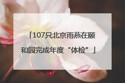 107只北京雨燕在颐和园完成年度“体检”
