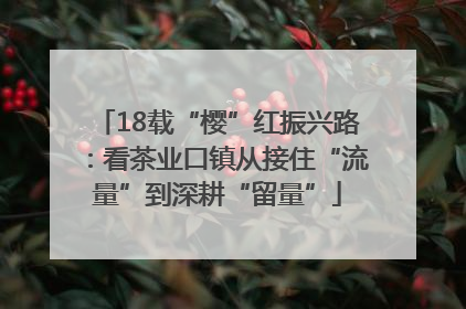 18载“樱”红振兴路：看茶业口镇从接住“流量”到深耕“留量”