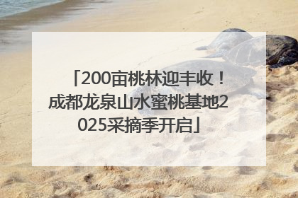 200亩桃林迎丰收！成都龙泉山水蜜桃基地2025采摘季开启