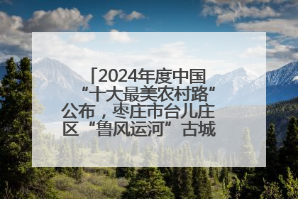 2024年度中国“十大最美农村路”公布，枣庄市台儿庄区“鲁风运河”古城文化廊道上榜！