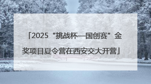 2025“挑战杯—国创赛”金奖项目夏令营在西安交大开营