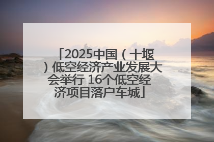 2025中国（十堰）低空经济产业发展大会举行 16个低空经济项目落户车城
