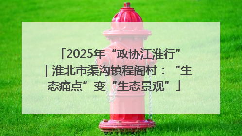 2025年“政协江淮行”｜淮北市渠沟镇程阁村：“生态痛点”变“生态景观”