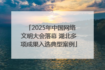 2025年中国网络文明大会落幕 湖北多项成果入选典型案例