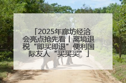 2025年廊坊经洽会亮点抢先看丨离境退税“即买即退”便利国际友人“买买买”