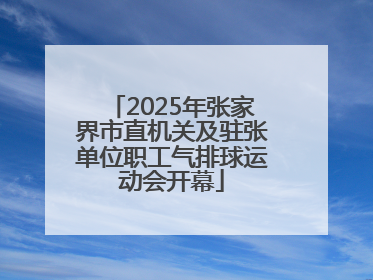 2025年张家界市直机关及驻张单位职工气排球运动会开幕
