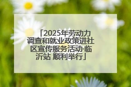2025年劳动力调查和就业政策进社区宣传服务活动·临沂站 顺利举行