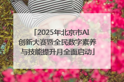 2025年北京市AI创新大赛暨全民数字素养与技能提升月全面启动