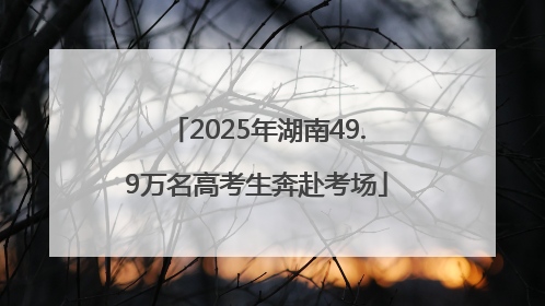 2025年湖南49.9万名高考生奔赴考场