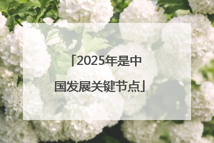 2025年是中国发展关键节点