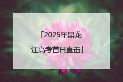 2025年黑龙江高考首日直击