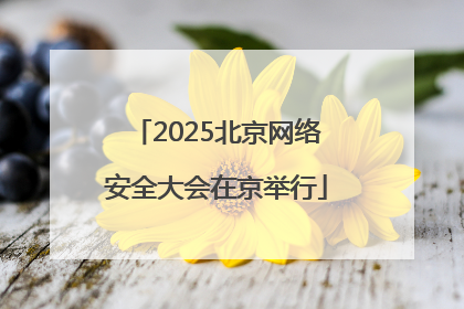 2025北京网络安全大会在京举行