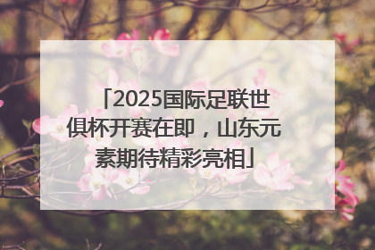 2025国际足联世俱杯开赛在即，山东元素期待精彩亮相
