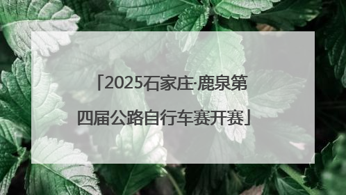 2025石家庄·鹿泉第四届公路自行车赛开赛