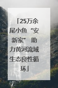 25万余尾小鱼“安新家” 助力黄河流域生态良性循环