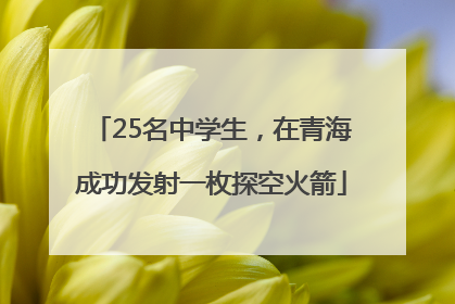 25名中学生，在青海成功发射一枚探空火箭
