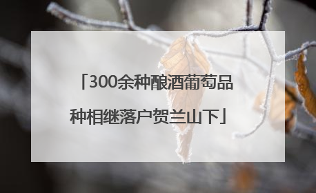 300余种酿酒葡萄品种相继落户贺兰山下