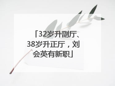 32岁升副厅、38岁升正厅，刘会英有新职