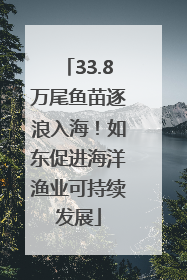33.8万尾鱼苗逐浪入海！如东促进海洋渔业可持续发展
