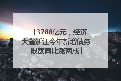 3788亿元，经济大省浙江今年新增债务限额同比涨两成