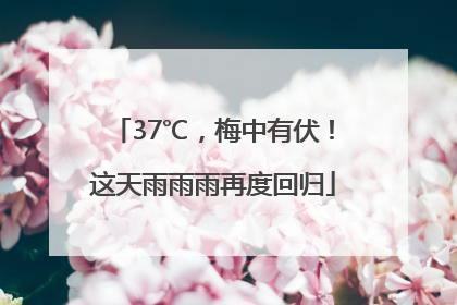 37℃，梅中有伏！这天雨雨雨再度回归