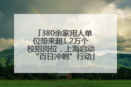 380余家用人单位带来超1.2万个校招岗位，上海启动“百日冲刺”行动