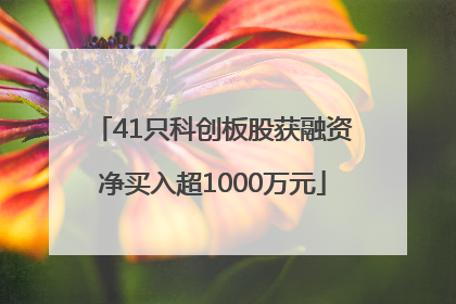 41只科创板股获融资净买入超1000万元